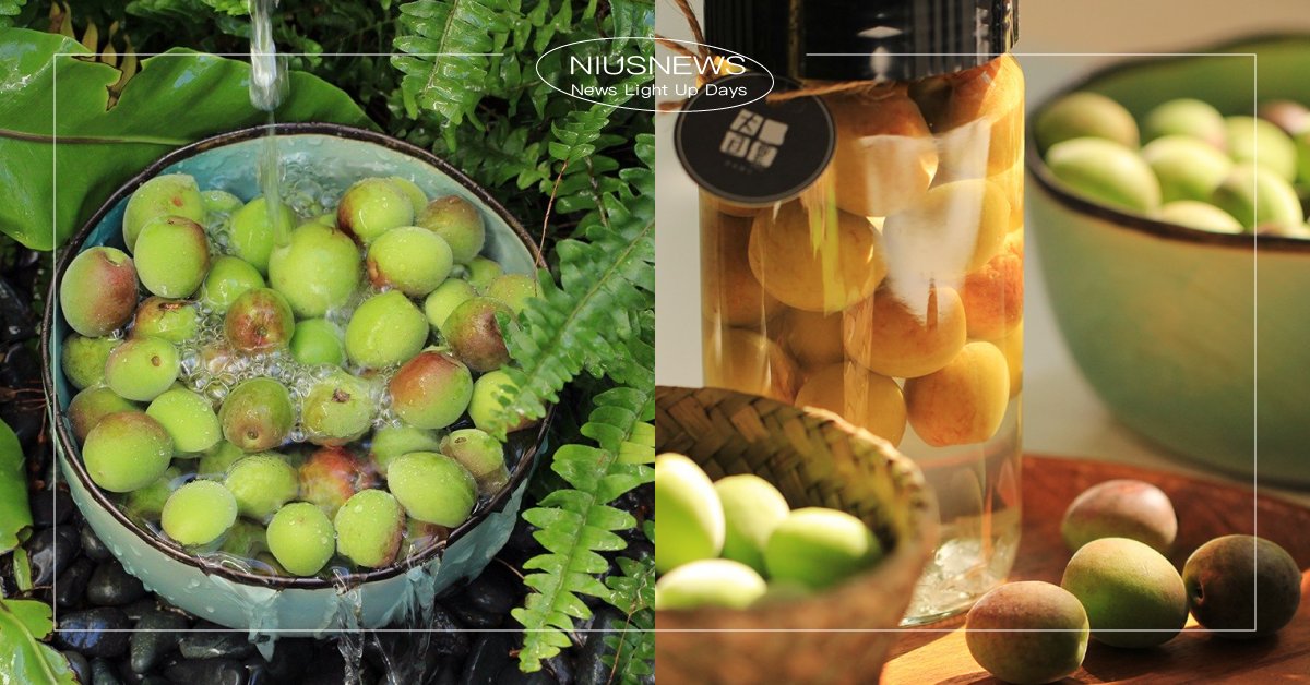 自釀梅酒的季節來啦！全台6個線上、實體梅子酒DIY課程，想當釀酒師就趁現在 梅子酒、梅子季、梅酒、酒譜、Pinkoi、課程、體驗、線上課程、實體實作、自釀梅酒DIY