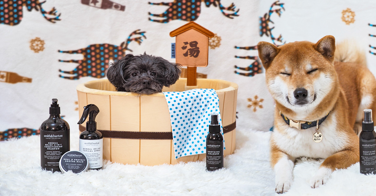 smith&burton紐西蘭 天然植物低敏配方 有機香氛寵物洗毛精  寵物、寵物用品、寵物洗毛精、smith&burton、毛小孩、天然低敏