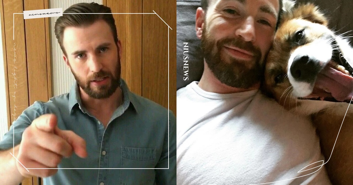 美國隊長不忍了！克里斯伊凡：「我有藍勾勾」，呼籲粉絲：錢包被偷、沒錢買狗食都在騙 漫威、美國隊長、克里斯伊凡、詐騙