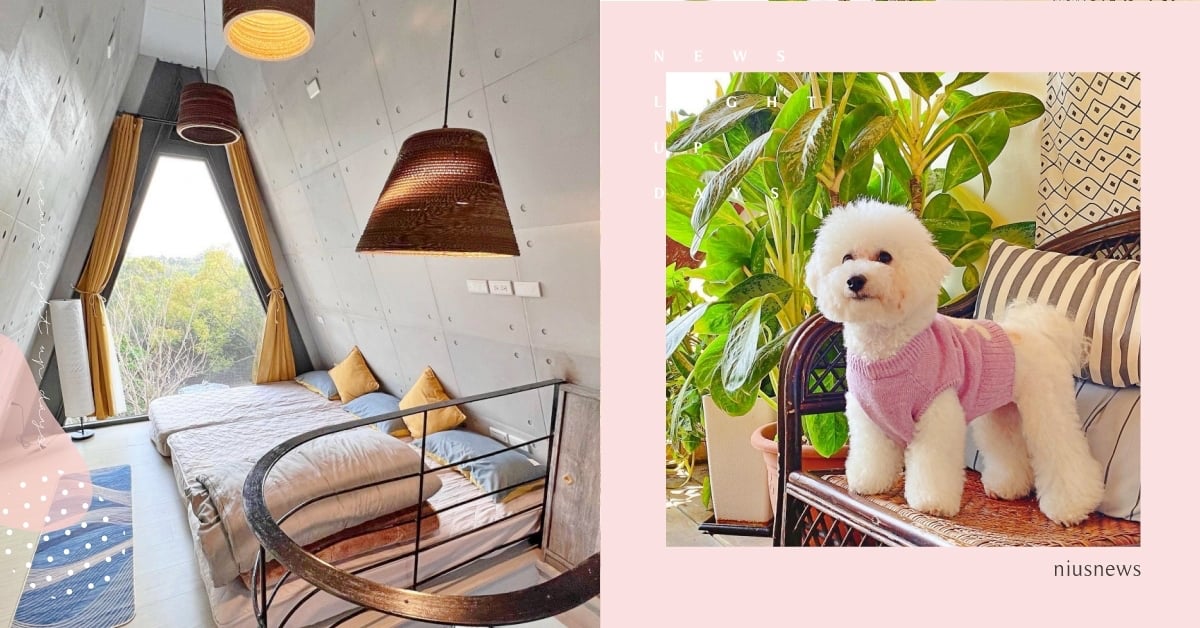 2023台中9間「寵物友善住宿」推薦！超人氣老宅、玻璃屋美到拍不停！ 2023最新、台中寵物友善住宿、寵物友善景點、悠遊國旅補助、寵物住宿、寵物出去玩、台中寵物友善、寵物民宿、狗、貓、寵物、毛小孩、老宅、玻璃屋