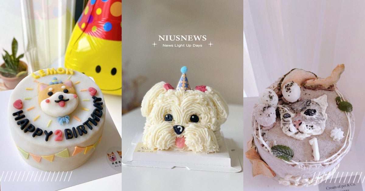 毛孩也要過生日！7間客製化「寵物蛋糕」IG推薦，色香味俱全拍照慶祝都吸睛！ 寵物圈圈、寵物吃喝玩樂、寵物蛋糕、客製化蛋糕、客製化寵物蛋糕