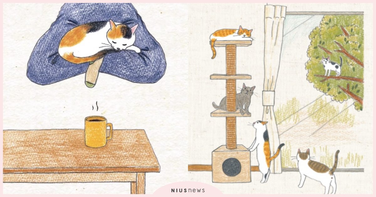 貓奴必看！《有貓的日子，才叫生活》10金句語錄：「因為是貓，才會那麼萬人迷吧！」 貓咪、寵物、貓貓、網喵、鏟屎官