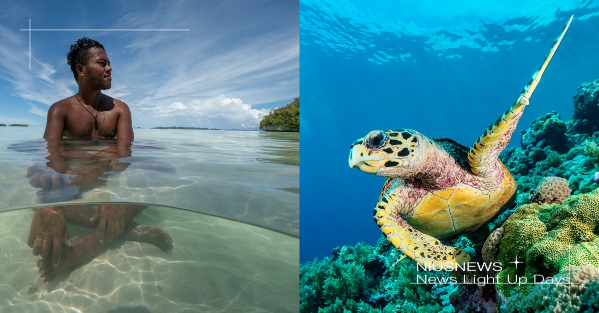 《Ol’ au Palau》App年中上線！集「環保」點數就能兌換帛琉旅遊行程 Ol’ au Palau、App、世界地球日、環保、點數、集點、旅遊、帛琉、旅遊泡泡、palau、帛琉旅遊、海洋仙境、上帝水族箱、潛水天堂、潛水、牛奶湖、水母湖、鯊魚城、百年干貝城、美人魚水道、KB大橋、歷史博物館、小白宮、長沙灘、 安得貌大瀑布