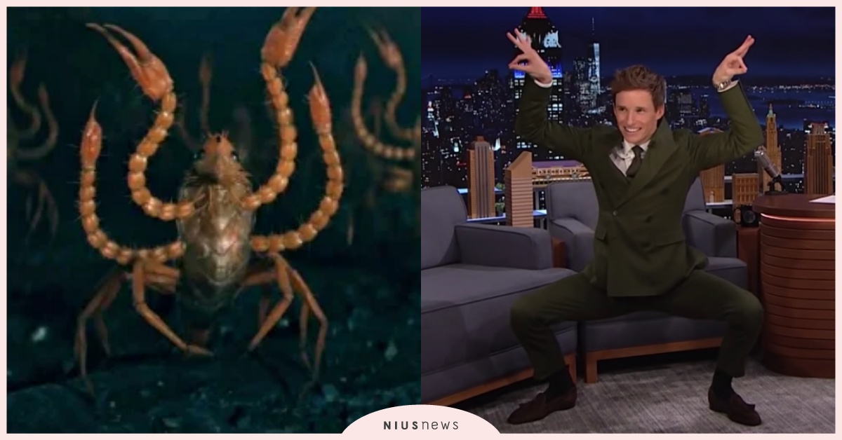 直接神還原！《怪獸與鄧不利多的秘密》紐特變身「人面蠍尾獅」，扭臀螃蟹步笑翻全網！ 怪獸與鄧不利多的秘密、艾迪瑞德曼、紐特、人面蠍尾獅、