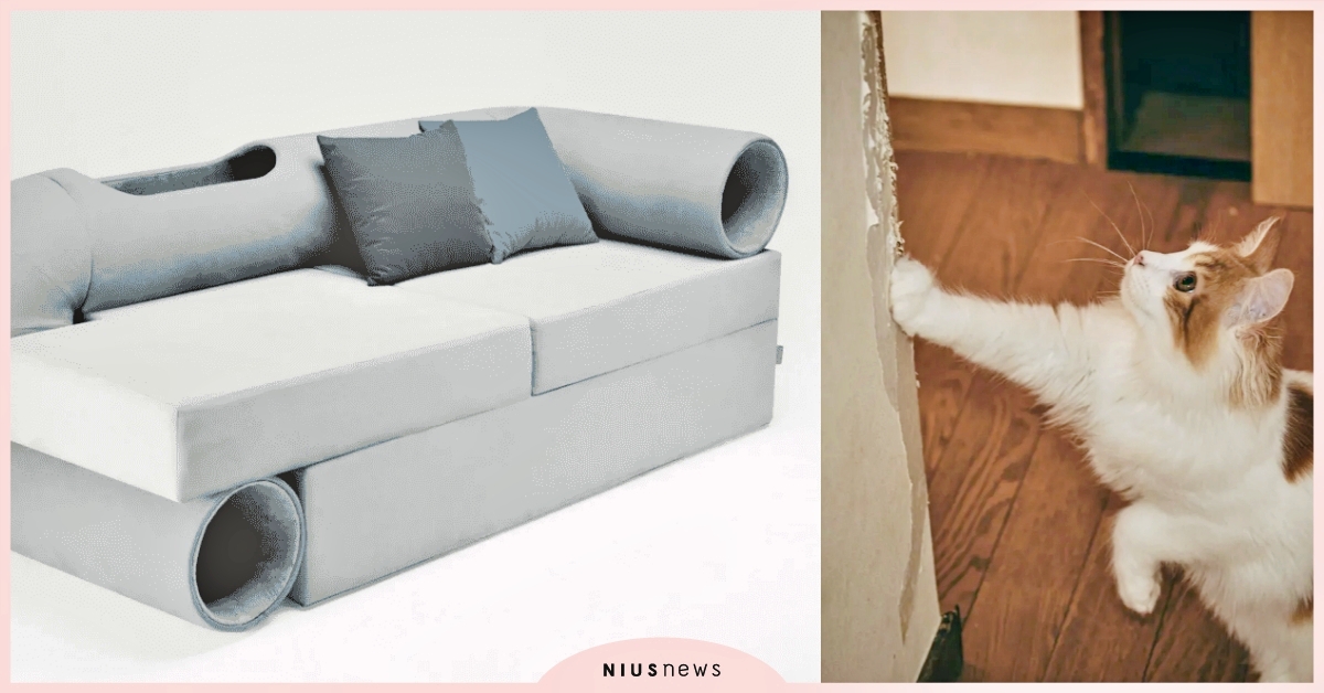 喵主子最強寶座？韓國推出貓咪沙發「自帶隧道、防貓抓材質」，網笑：還能玩捉迷藏！ 韓國貓咪沙發、貓咪沙發、貓隧道沙發、寵物選品、貓隧道、貓抓布沙發、躲貓貓、寵物新聞、寵物趣聞、貓咪、貓奴、鏟屎官