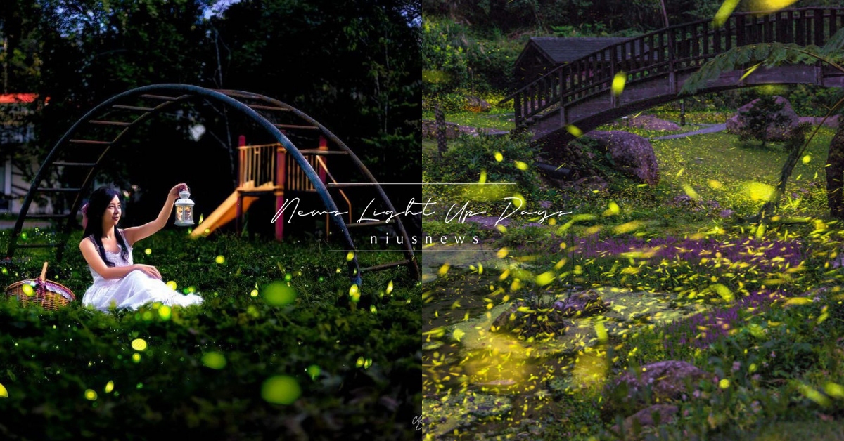 2022阿里山螢火蟲季開跑！季節限定16條深度賞螢、觀銀河之旅一次滿足 嘉義、嘉義景點、阿里山、阿里山景點、螢火蟲、螢火蟲季