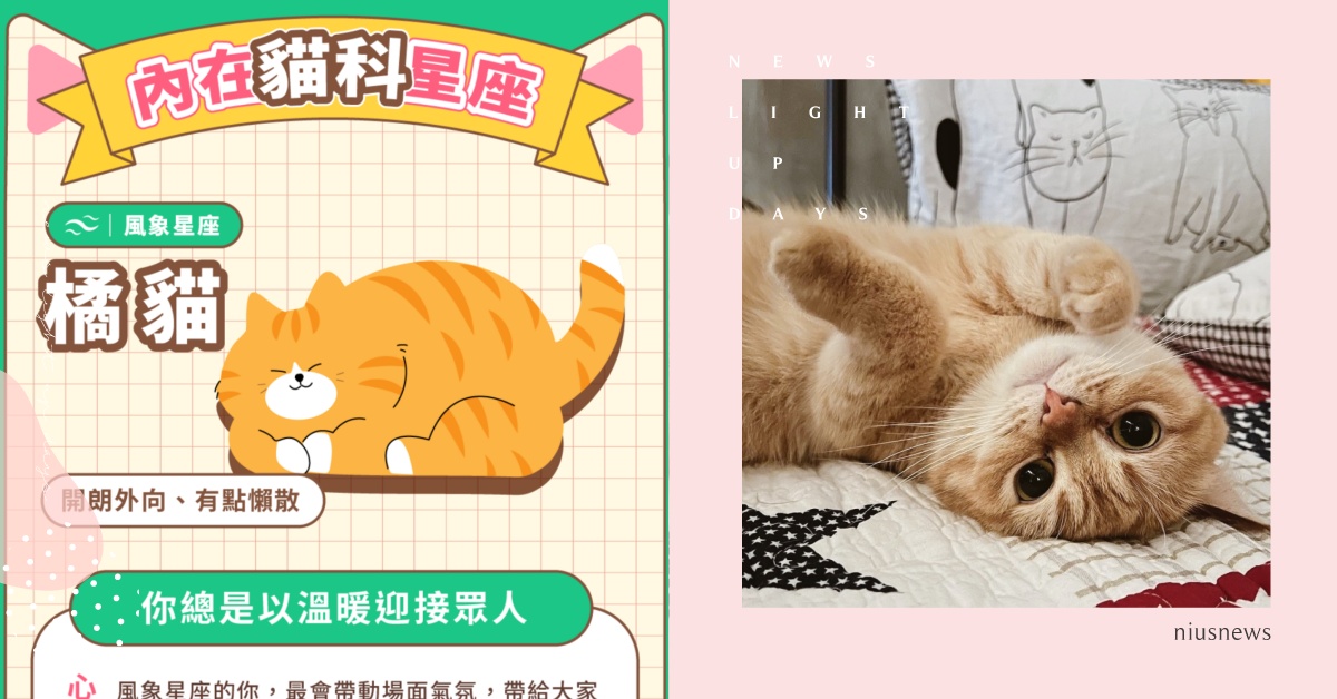 心理測驗「內在貓科星座」！LINE瘋傳超萌貓咪護照，10題測出「最令人心動特質」 寵物圈圈、寵物吃喝玩樂、動物、心理測驗、動物心理測驗