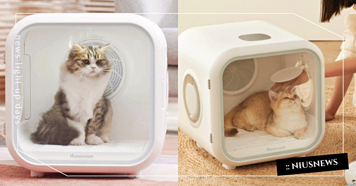 長毛總是吹不乾？網友激推4款「寵物烘箱」推薦，十分鐘速乾、還有擼擼窗安撫毛孩！ 2022最新、寵物烘箱、寵物烘毛機、霍曼烘毛機、清度烘毛機、gogoshower除菌烘毛箱、pome寵物烘毛機、寵物選品、寵物家電、寵物美容