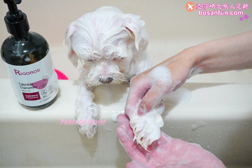 毛小孩洗澡是一種享受｜RIGOROS雷格萊詩-植萃低敏系列三效合一洗毛劑清新除臭皮膚修護 RIGOROS雷格萊詩、三效合一洗毛劑、毛小孩洗澡是一種享受、亞莎崎、洗毛精推薦、狗狗洗毛精怎麼選？