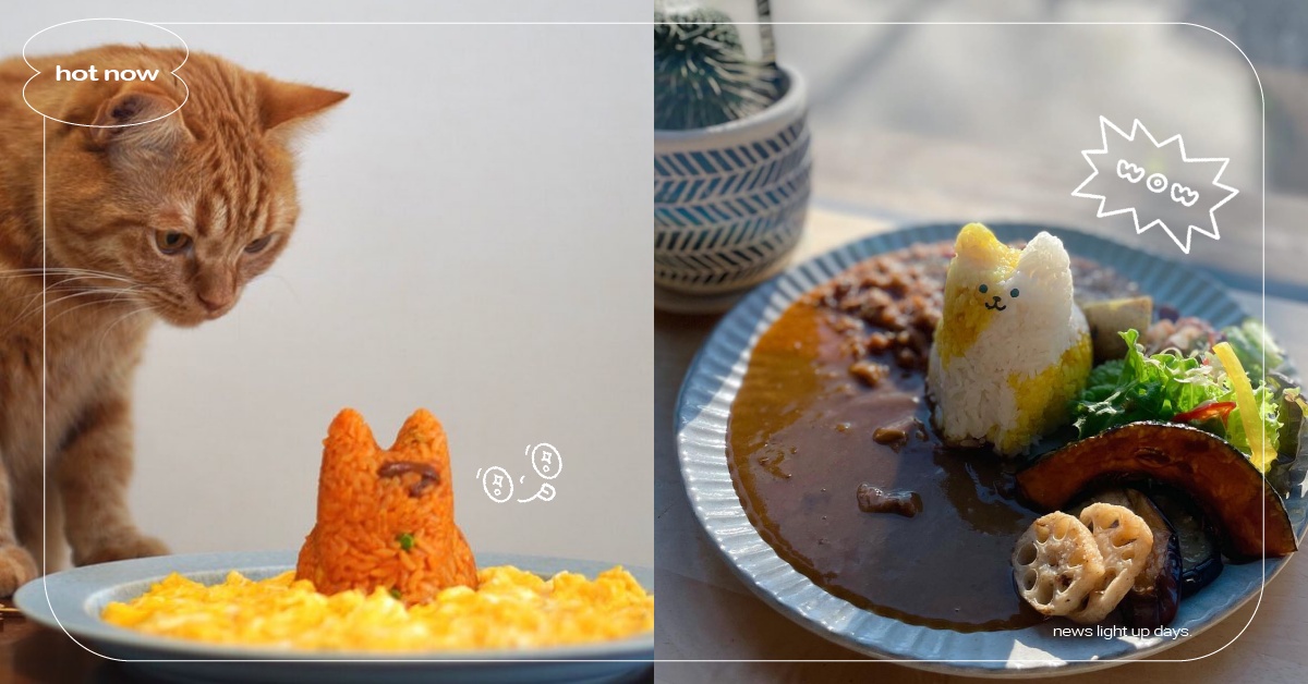 美味程度up！日本爆紅「Koneko Cup」變出無限貓咪，櫻花妹堪稱下廚神器！ 寵物圈圈、寵物選品、Koneko Cup、下廚神器、推特、日本、貓咪、廚具、居家生活