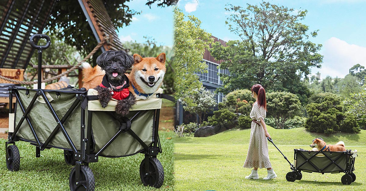 立格扉Ligfe  戶外摺疊露營寵物推車  最Chill的露營野餐必備 露營推車、寵物露營推車、露營用品、立格扉