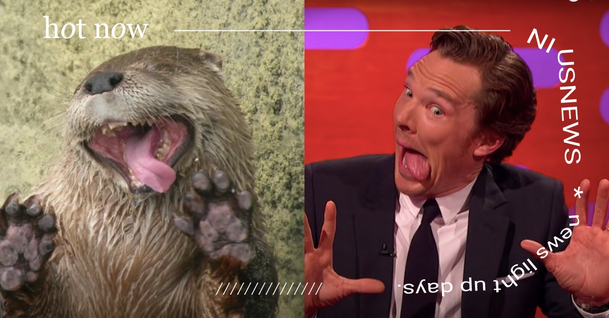 奇異博士全部神還原！班奈狄克康柏拜區「海獺5連拍」，還把強尼戴普拖下水！ 奇異博士、班奈狄克康柏拜區、強尼戴普、黑勢力、海獺、模仿、5連拍