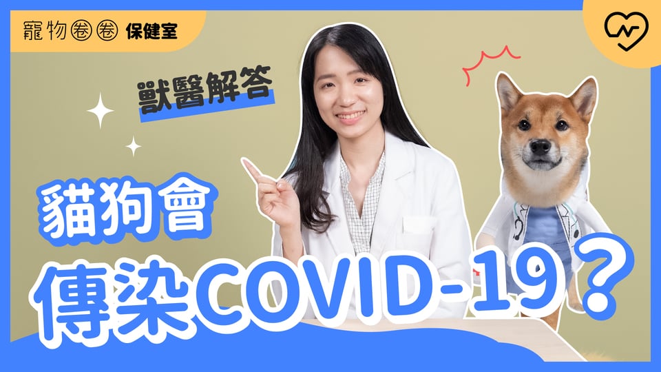 【犬貓與新冠肺炎】貓狗會傳染COVID-19？要戴口罩嗎？｜寵物圈圈保健室Ep2 寵物圈圈、毛小孩、新冠肺炎、寵物知識、寵物圈圈保健室