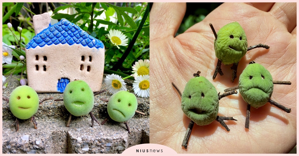 日本網友用植物手作「青梅小精靈」萌翻全網，4天後意外長大成「皺梅婆婆」：你老梅捏 植物手作、梅子小精靈、皺眉婆婆、老梅、推特熱議、日本達人