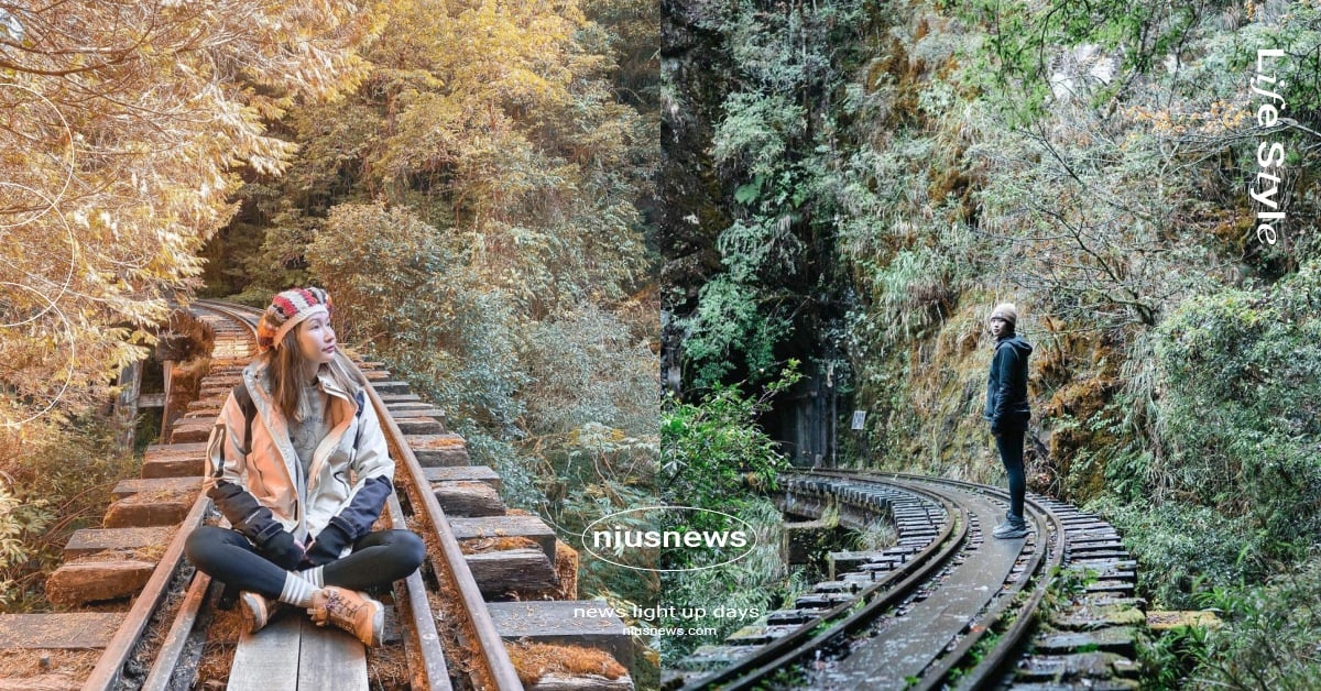 嘉義阿里山眠月線「重新開放」！每日入山人數限制調降、申請方法、注意事項懶人包 嘉義、嘉義景點、阿里山、阿里山景點、嘉義登山、登山步道、眠月線