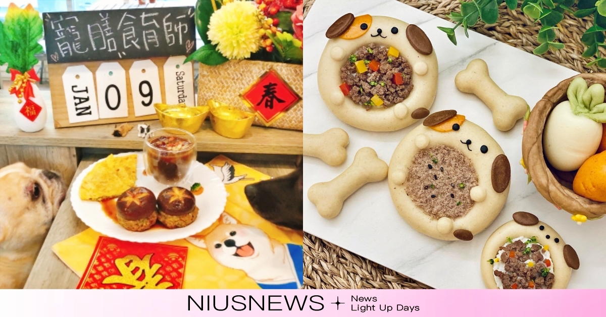 寵物粽子課程超夯！全台4間「寵物鮮食烹飪教室」推薦，毛孩鮮食也能自己動手做！ 寵物鮮食烹飪教室、寵物鮮食、手作課程、寵物、毛小孩、寵物飲食、寵物粽子、寵物月餅、寵物年菜