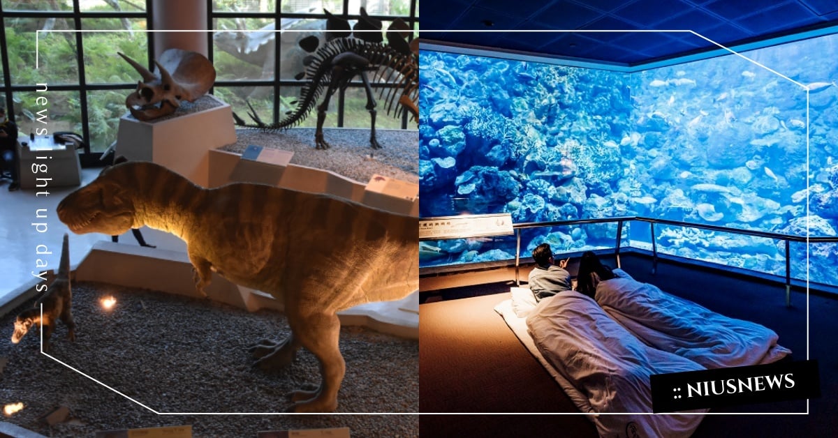 孩子暑假要去哪？2022年10個夏令營推薦：恐龍營看化石、海洋生物近距離陪睡！ 育兒、夏令營、暑假、小學生、推薦