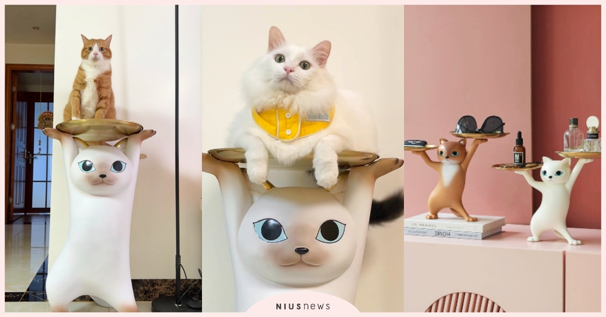 台灣也買得到！「巨無霸妖嬌貓公仔」連貓主子都愛，扭腰擺臀秒變貓爬架！ 妖嬌貓、貓爬架、網友熱議、居家擺設、居家生活