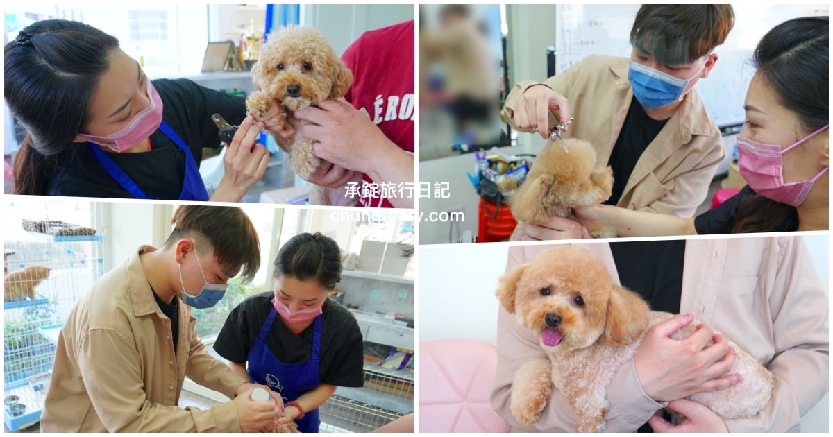台中寵物美容學苑【璀璨寵物美容學苑】KCT指定寵物美容師「台中美寵美容課程」技能 
