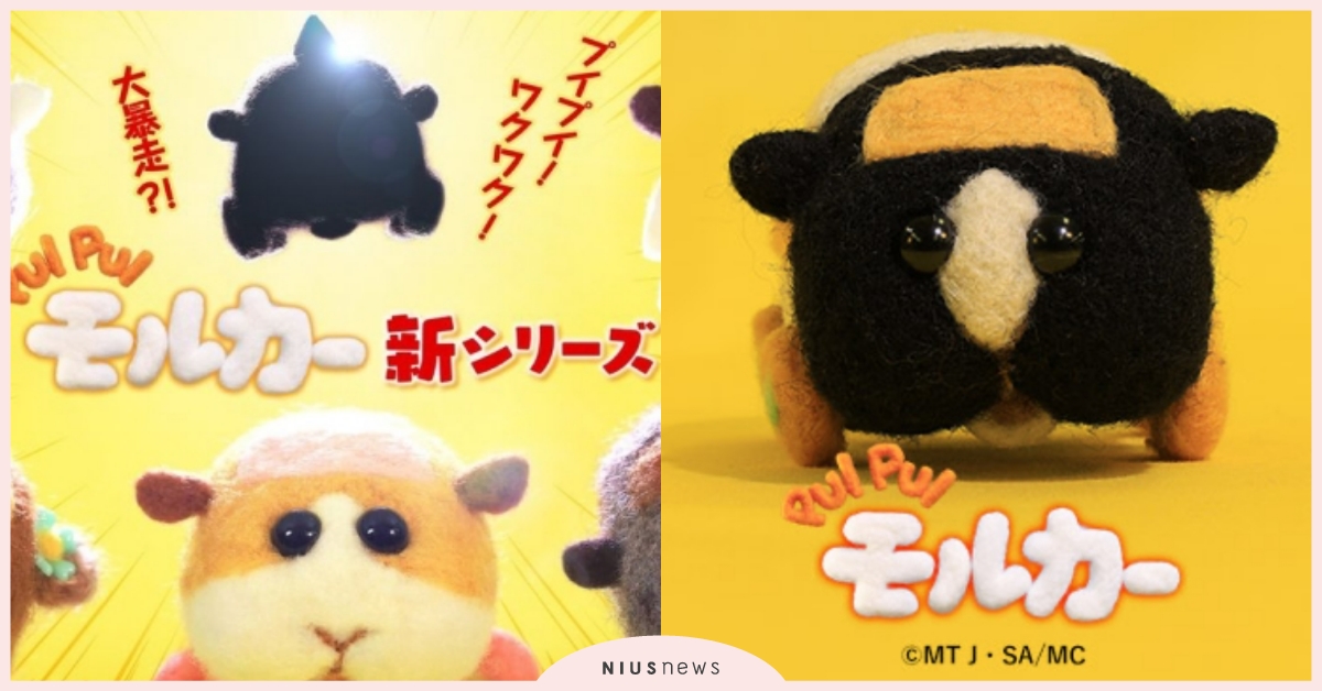 《天竺鼠車車2》明天開播！第二季劇情＆新車車一覽，超爆笑梗圖語錄回顧！ PUI PUI 天竺鼠車車、十月新番、卡通動漫、2022秋季新番、見里朝希