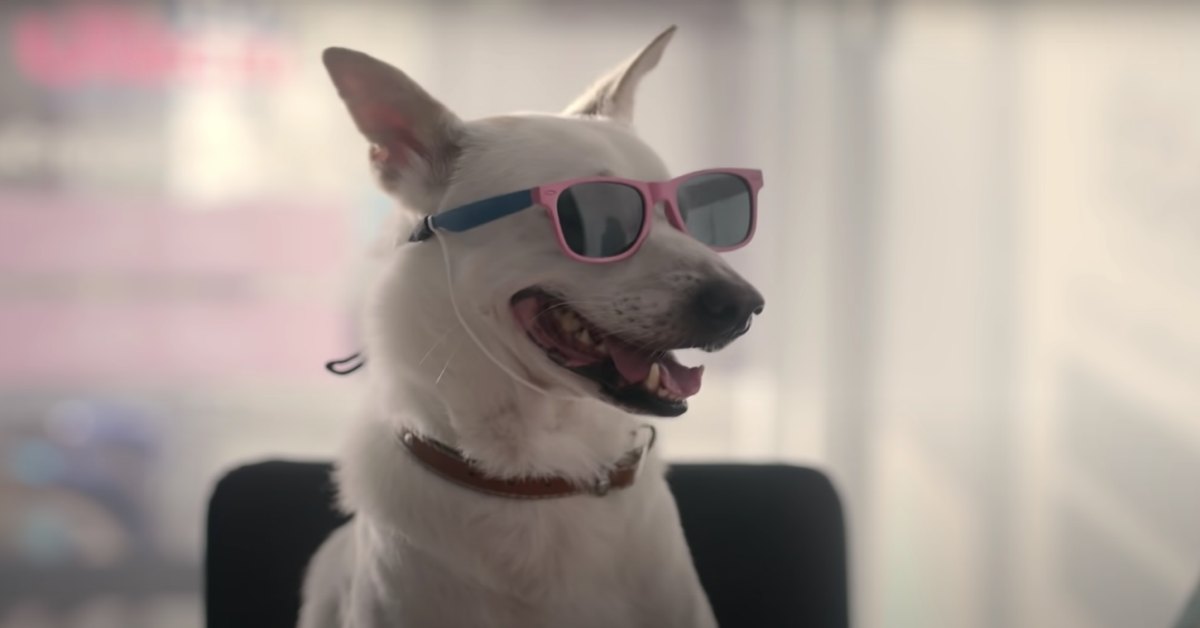 我和我的狗，一起開了一間麵攤  泰國、借貸、狗狗