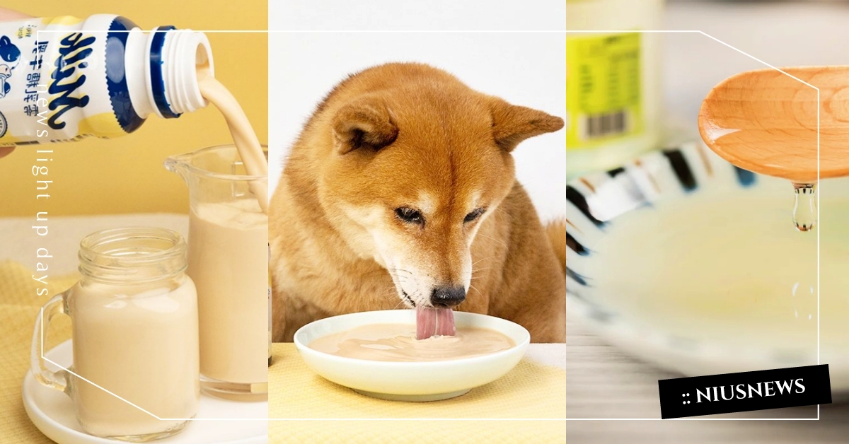 用喝的補營養！6款市售「寵物飲品＆湯品」推薦，夏天也能輕鬆幫毛孩補水！ 