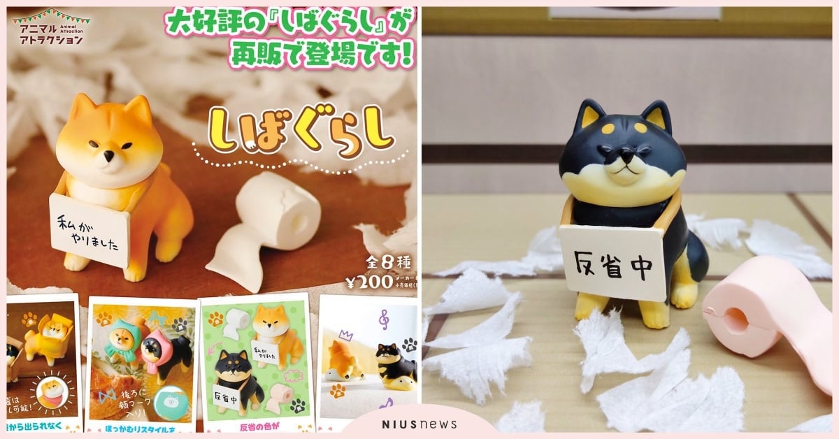 一連串的搗蛋柴柴！日本推出「柴犬屁孩日常扭蛋」搞砸你的生活，柴柴：本汪94要耍屁 柴犬日常扭蛋、拒否柴、屁孩柴犬、柴柴、可愛寵物