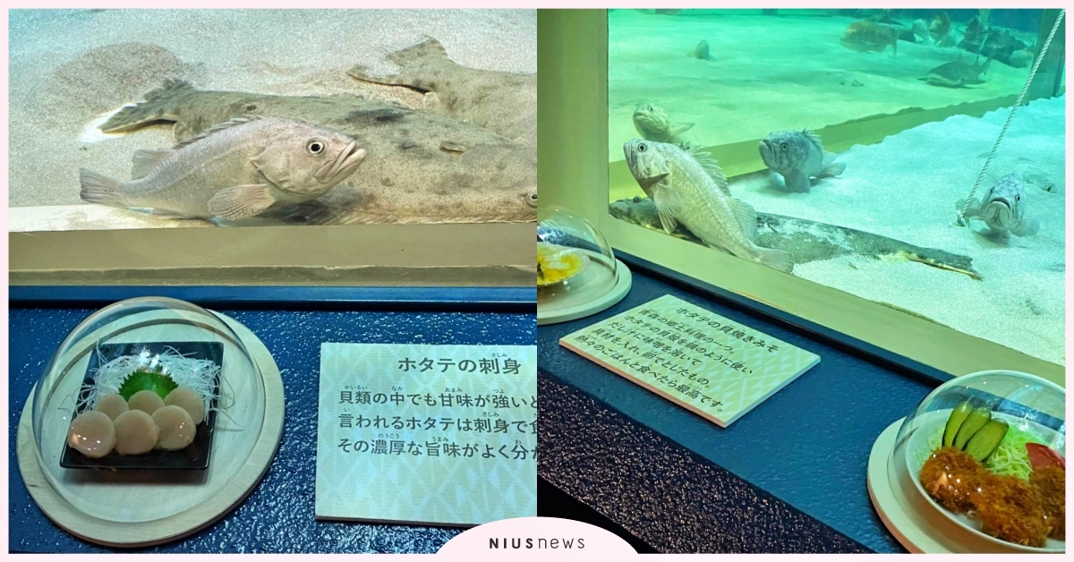 拍攝者不救！日本水族館在魚缸前曬「魚變成料理」的模樣，網笑：不就台灣海產店？ 日本淺蟲水族館、水族館、海產店、推特熱議、寵物趣聞、魚料理、可愛寵物、萌寵、寵物教養