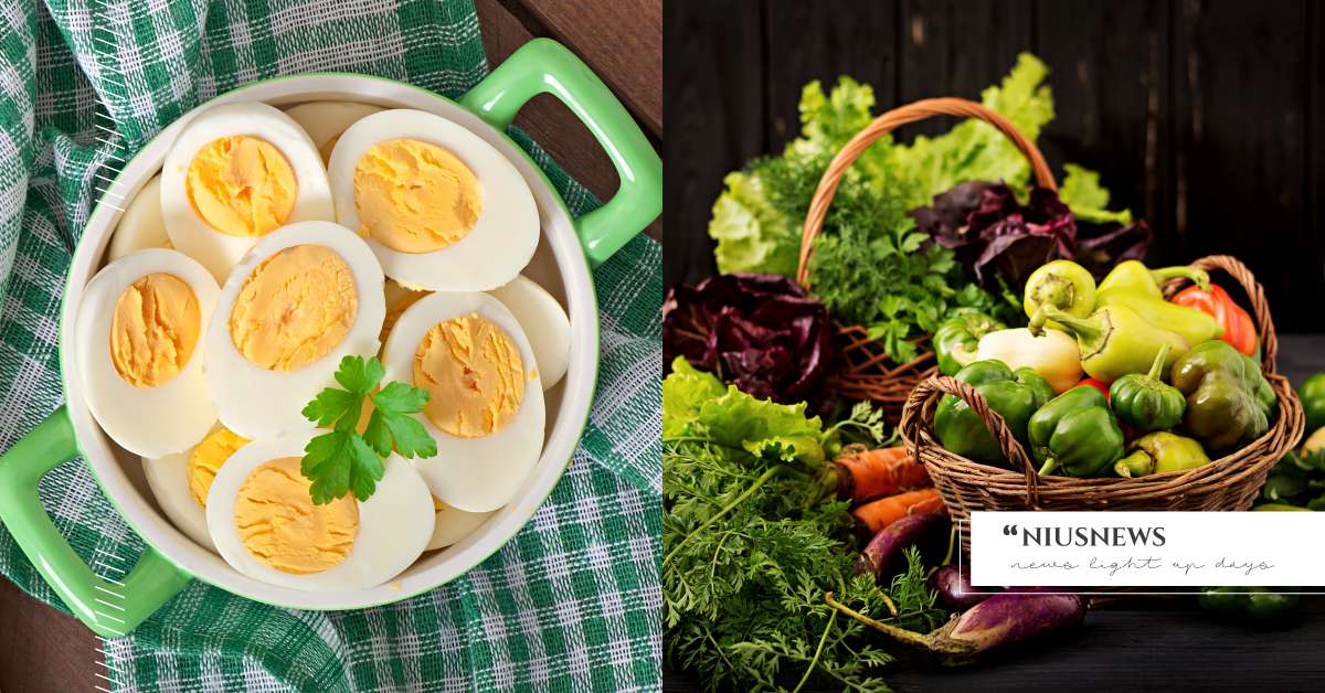 9種可幫助兒童大腦發展的食物：雞蛋營養價值高、優酪乳適合當早餐飲料！ 健康、兒童、飲食、營養、大腦、發展、腦部、發育