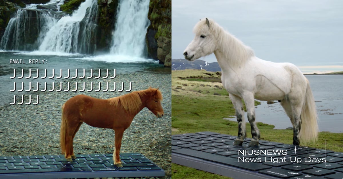 度假不準回訊息！冰島觀光局推「馬兒打字」服務，貼心幫回主管信件：休假中勿擾！ 寵物圈圈、可愛、旅遊、出國、馬、寵物趣聞、冰島觀光局、馬兒打字、休假勿擾