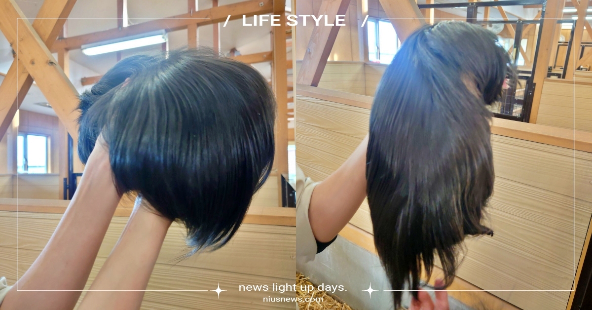 黑長直美女？日本動物園分享「一頂烏黑假髮」，本尊揭曉竟是「牠」笑翻全網！ 日本帶廣動物園、假髮、謝特蘭天竺鼠、喜樂蒂、天竺鼠、天豬、寵物趣聞、萌寵、可愛寵物、推特熱議