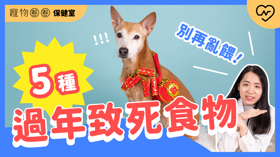 【貓狗過年食物陷阱】絕對不能吃！小心急性胰臟炎致死！｜寵物圈圈保健室Ep.15  寵物圈圈、毛小孩、過年食物、寵物知識、寵物圈圈保健室 