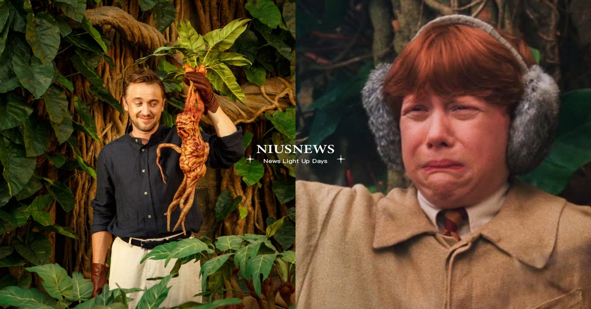馬份帶逛藥草學溫室？湯姆費德頓亂入英國《哈利波特》片場，親摘尖叫「魔蘋果」 哈利波特、芽菜教授、跩哥馬份、魔蘋果、湯姆費爾頓、溫室