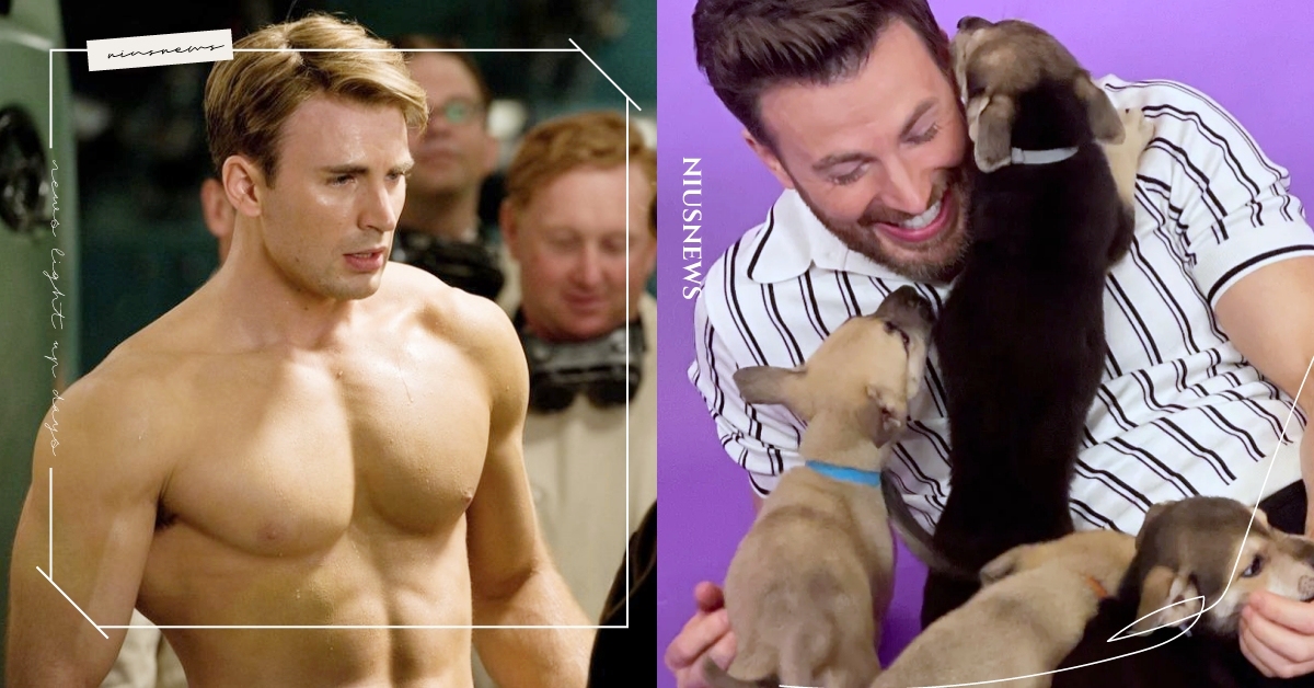 完全不理主持人！美國隊長上節目「全程顧擼狗」直呼太幸福，爆料：我的推特全是狗照 美國隊長、克里斯伊凡、ChrisEvans、訪談節目、狗奴