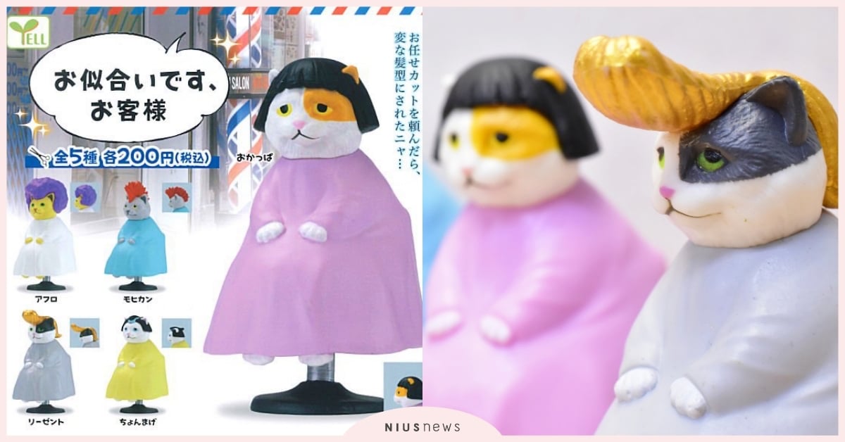 髮型很適合您喔！日本推出「理髮廳貓咪」系列扭蛋，貓貓超無奈：剪得和我想得不一樣 髮型很適合您喔客人、お似合いですお客様、理髮廳貓咪扭蛋、日本扭蛋、日本盒玩、萌寵、可愛寵物、貓咪