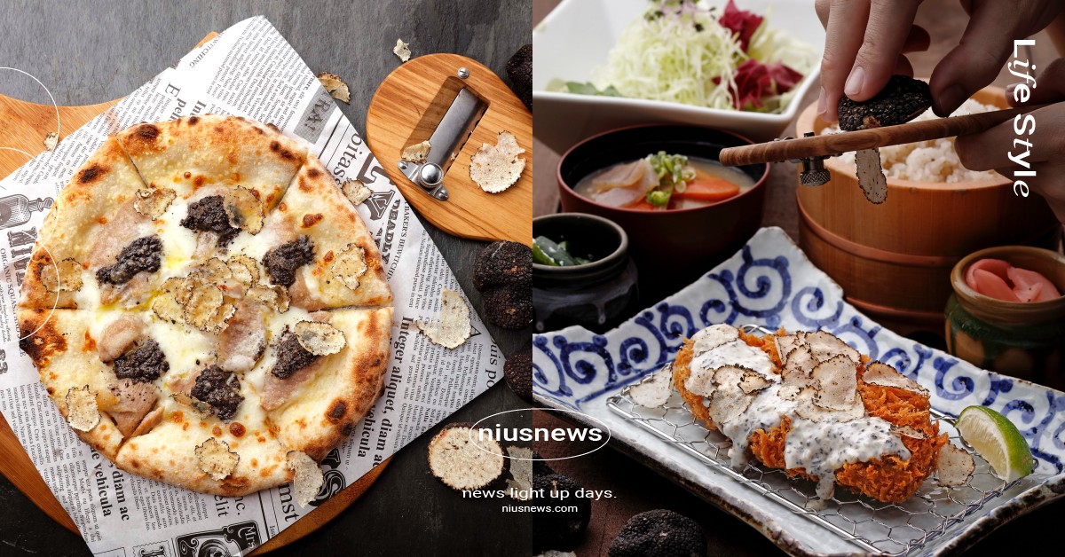 新鮮現刨松露只要260！7大餐廳推限定黑松露季，漢堡排義大利麵、白醬豬排濃郁必吃 松露、慕里諾餐飲集團、黑松露季、餐廳、美食、BEPPIN PASTA、石壁家、Suage北海道湯咖哩、泰迪農園咖哩、鳥丈爐端燒、勝政日式豬排、勝勢日式豬排