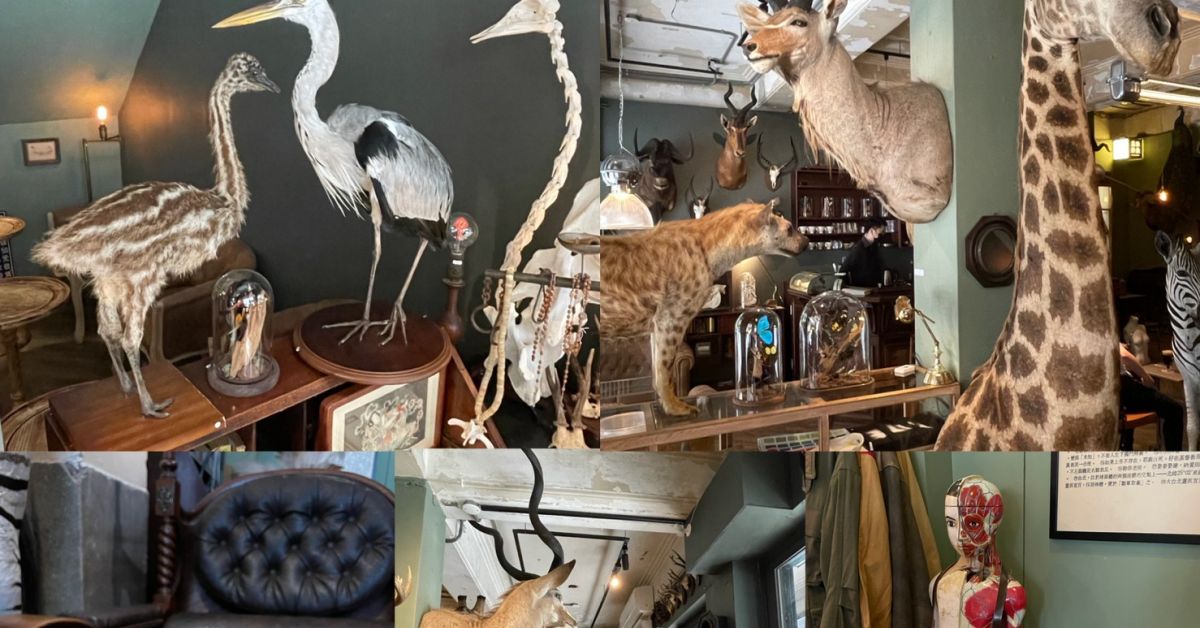 遷鳥陳列所Cabinet Of Migrants，大稻埕5月新咖啡廳，咖啡廳+酒 