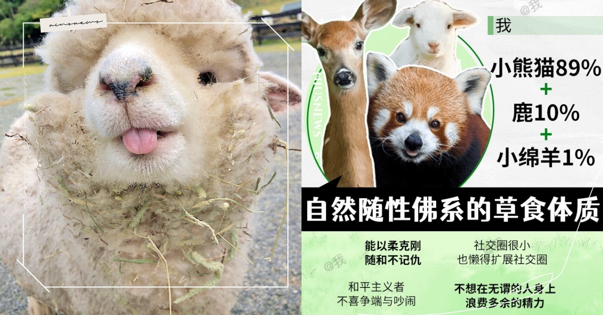 心理測驗「你的動物體質」？6句話精準描述你的隱藏性格，找出與你最契合的人！ 寵物圈圈、你的動物體質、動物、心理測驗、動物心理測驗、真實性格解析、與你契合的人、隱藏性格