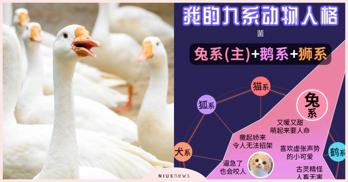 心理測驗「你的九系動物人格」？5題測出九邊形性格分析圖，看你的個性由哪些動物組成 寵物圈圈、九系動物人格、動物、心理測驗、動物心理測驗、真實性格解析、九邊形分析圖、隱藏性格