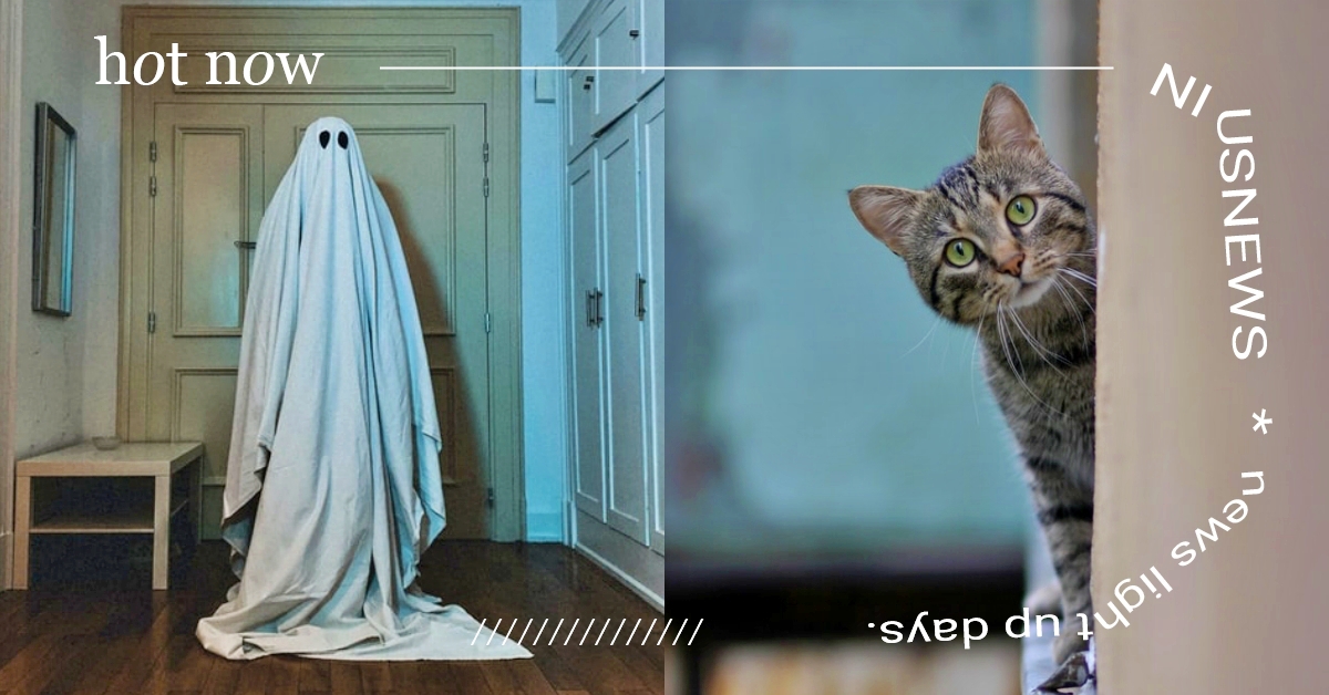 貓狗看得見阿飄？你不知道的鬼月寵物冷知識大公開，原來「這件事」就像給狗狗看鬼片！ 寵物知識、鬼月寵物冷知識、鬼月、鬼門開、貓、狗、萌寵、寵物趣聞、可愛寵物、動物