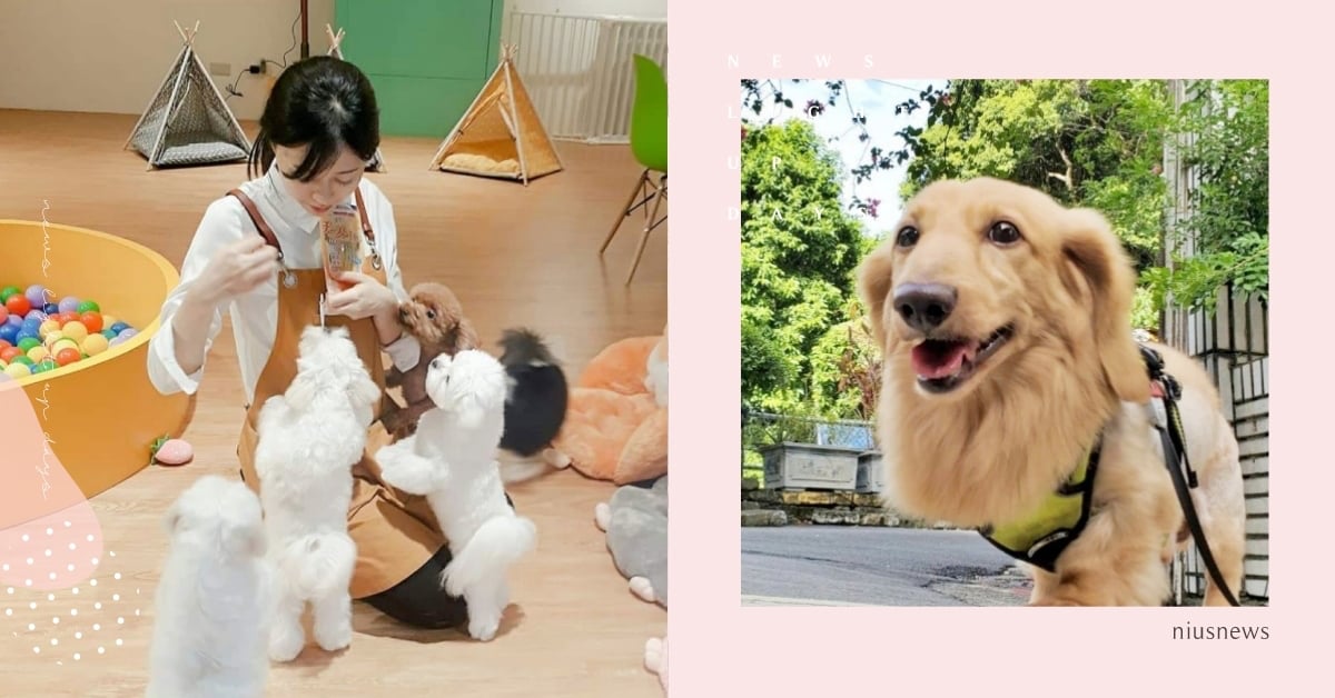 2022最新！北部7間「寵物安親」推薦，毛孩專屬幼稚園、還有寵物保姆陪玩！ 2022最新、寵物友善住宿、北部寵物安親、寵物幼稚園、寵物友善景點