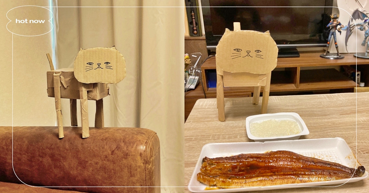 根本夢中情喵！日網友打造「新品種萌貓」不吵不鬧＆不用挖貓砂：只會一直盯著你看～ 夢中情喵、推特熱議、新品種萌貓、紙箱貓、寵物趣聞