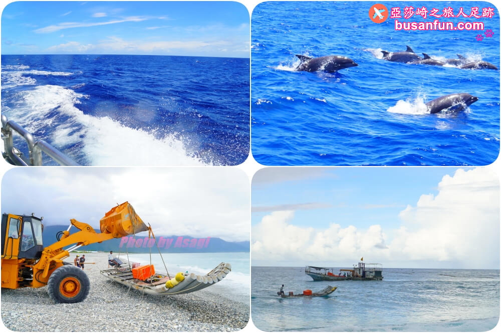 花蓮友善賞鯨之旅 跟海保署體驗「食魚教育」走訪七星潭無敵海景 花蓮賞鯨船、花蓮景點、花蓮賞鯨、海保署、海洋保育署、友善賞鯨、多羅滿賞鯨船、洄游吧Fish Bar