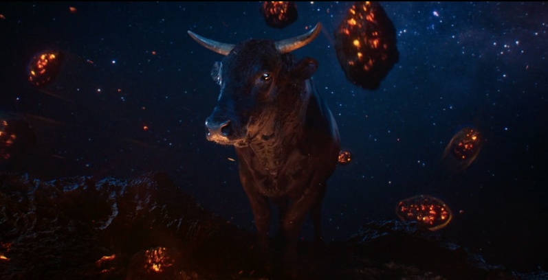 想要心如止水，請學學冷靜金牛 金牛、冷靜