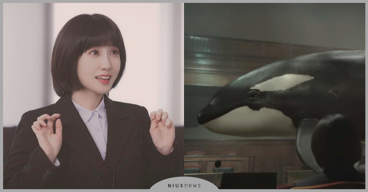 韓劇《非常律師禹英禑》11大案件整理！樂透改編自真人真事，虎鯨提利康故事太催淚 韓劇推薦、2022韓劇、Netflix、非常律師禹英禑、朴恩斌