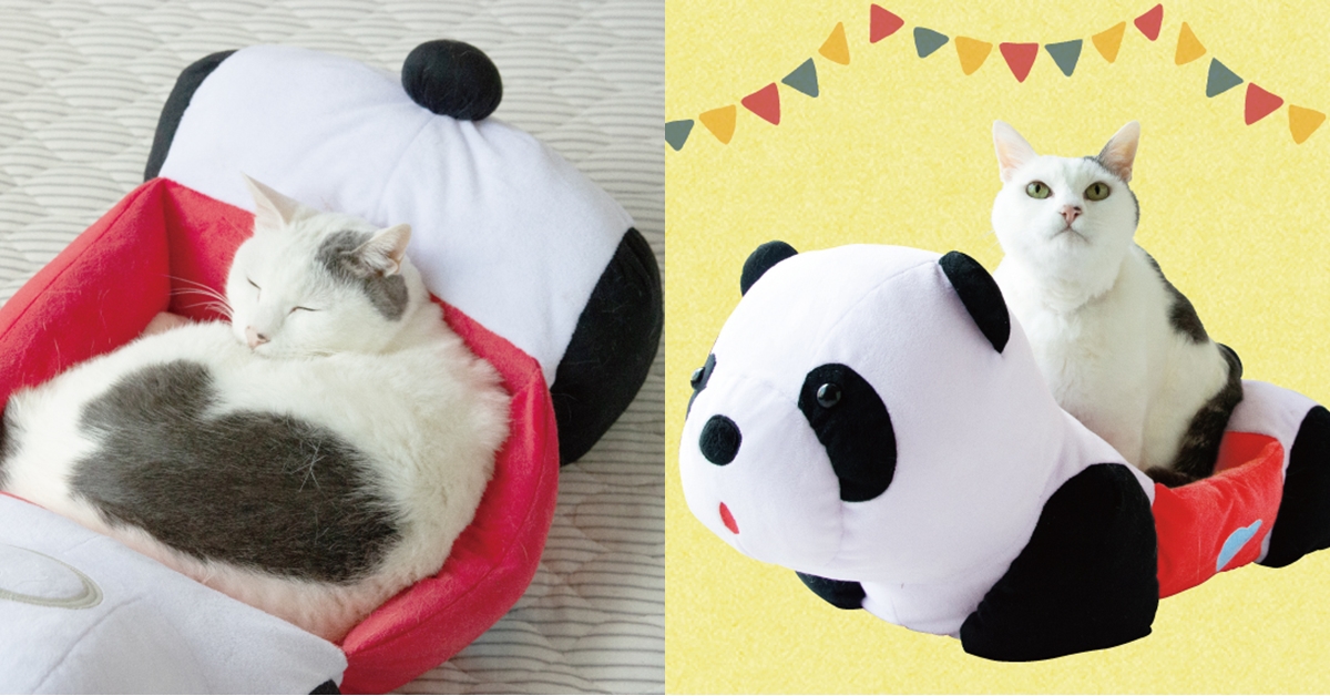 日本遊樂園推出「熊貓車貓窩」！復古昭和風＋特意打造成紙箱感，讓主子安心饋桃入睡！ Felissimo貓部、熊貓車貓窩、淺草花屋敷、貓咪小物、萌寵、可愛動物、貓咪、日本小物、浅草花やしき、居家生活