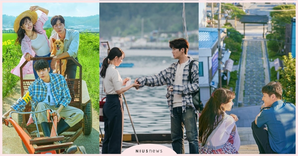 8部鄉村韓劇推薦！《我們的藍調時光》在濟州、《海岸村恰恰恰》取景超美海港「浦項」 韓劇、韓劇推薦、韓國鄉村、鄉村韓劇、濟州島