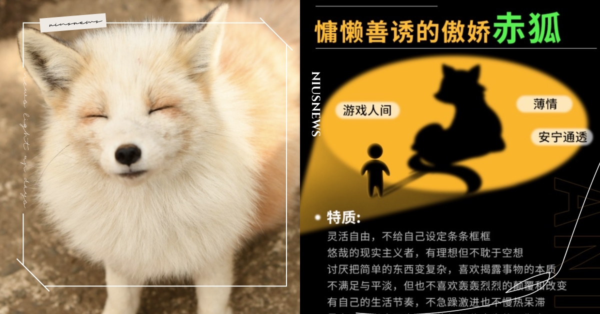 心理測驗「你的影子裡藏著什麼動物」？6句話精準分析性格特質，同場加映你的相處指南 你的影子裡藏著什麼動物、寵物圈圈、動物、心理測驗、動物心理測驗、真實性格解析、隱藏性格、個性特質、相處指南