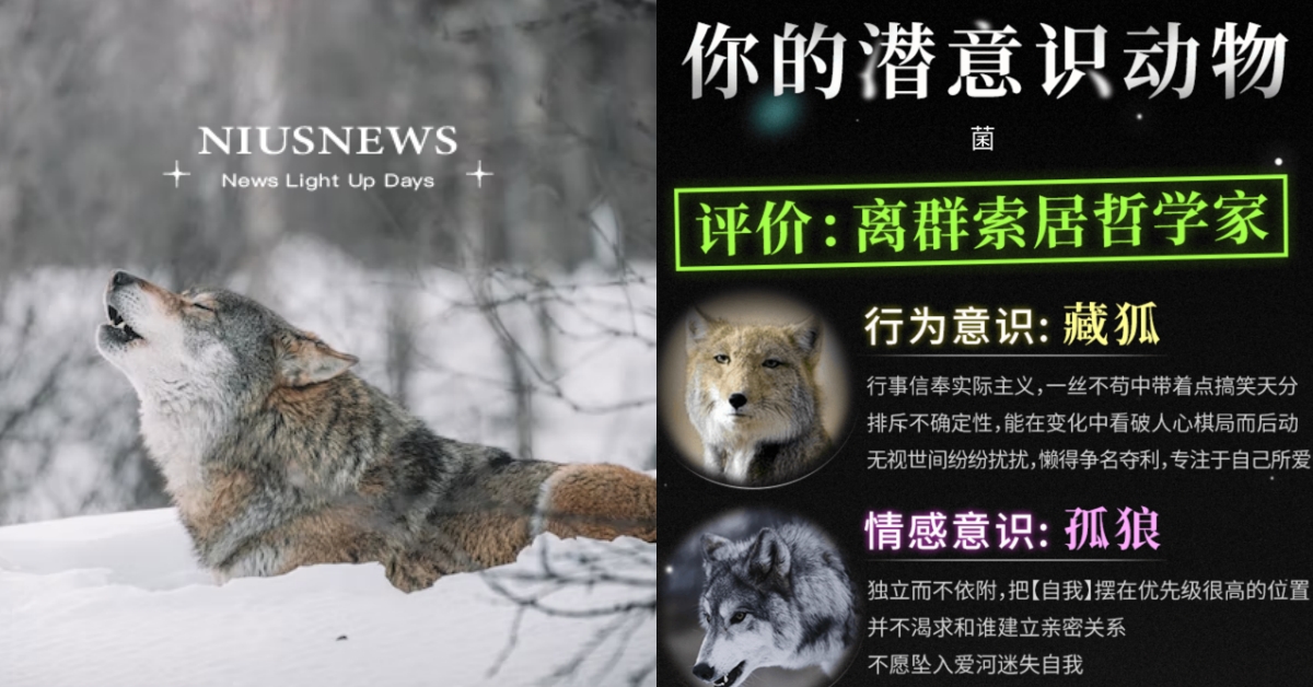 心理測驗「你的潛意識動物」？測出行為情感和靈魂動物，9句話精準解析你的隱藏個性 你的潛意識動物、寵物圈圈、動物、心理測驗、動物心理測驗、真實性格解析、隱藏性格、個性特質