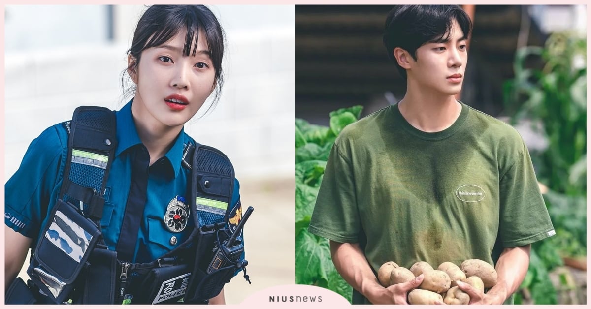 Netflix韓劇《偶然的田園日記》6大看點！可愛女警Joy和秋英宇共譜鄉村戀情 韓劇、Netflix韓劇、偶然的田園日記、Joy、秋英宇、白勝哲、9月韓劇、2022韓劇、韓劇推薦